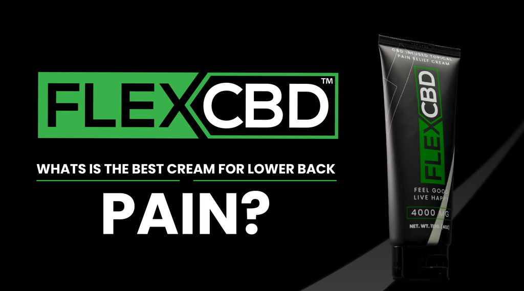 What is the best cream for lower back pain?